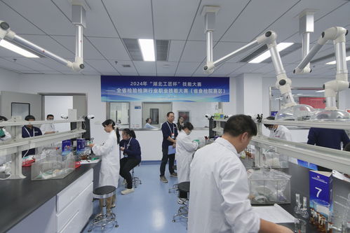 2024年湖北工匠杯檢驗(yàn)檢測(cè)行業(yè)職業(yè)技能大賽決賽圓滿(mǎn)落幕
